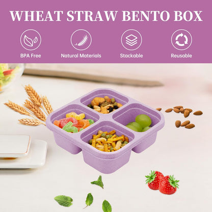 5 Pack 4-Compartment Divided Snack Box for Kids/Toddle/Adults
